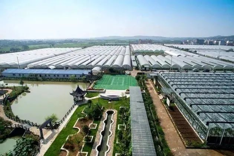 山东农业开发公司：新时代农业科技发展的新引擎
